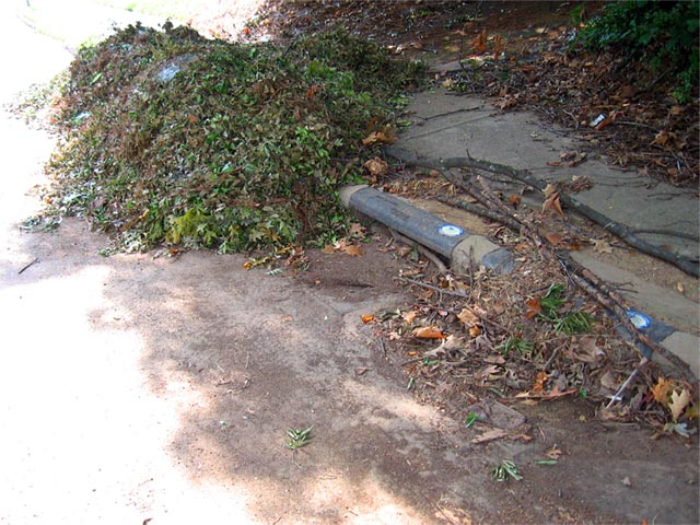 Keep Yard Waste Out Of Drains