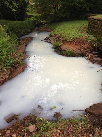 Discolored creek from pool maintenance illegal discharge